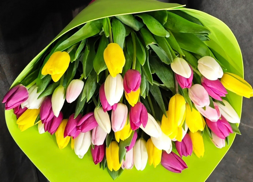 Красота в каждом бутоне: сделайте 8 марта незабываемым с «Незабудкой»