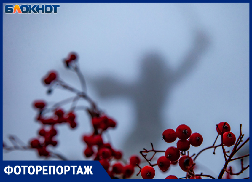 Братская могила и вечная память павшим воинам: фото-гид для волжан