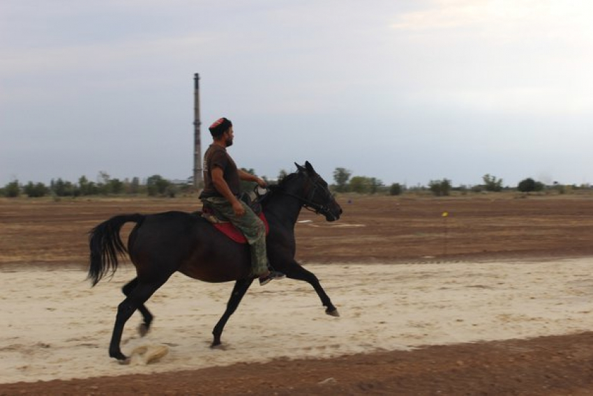 Волжский встречает «Константиновский фестиваль": программа мероприятия