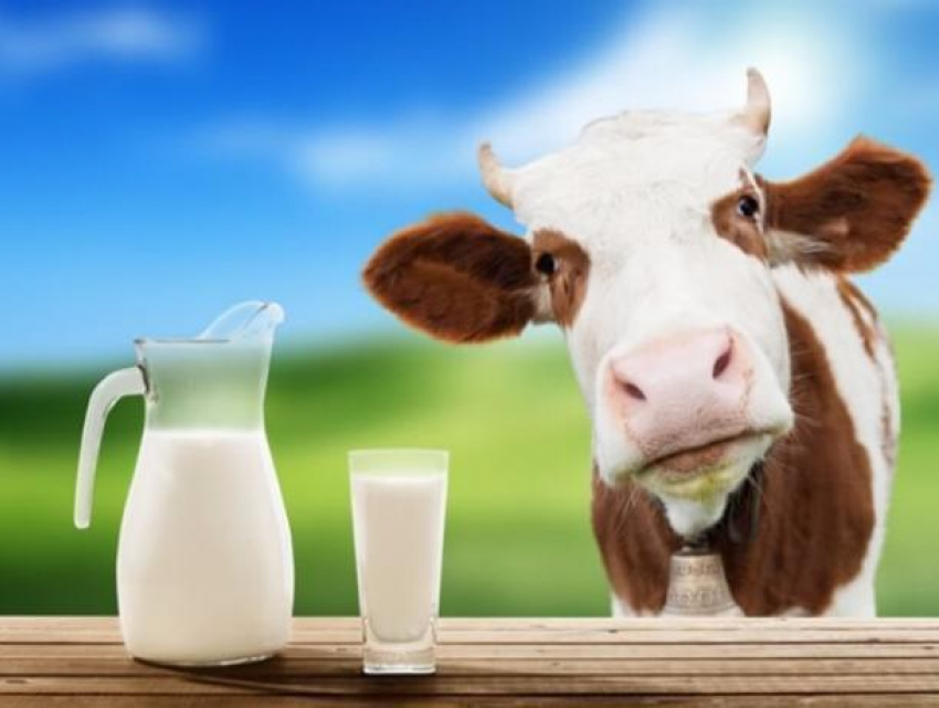 Волжский молочный комбинат поит покупателей сомнительным молоком