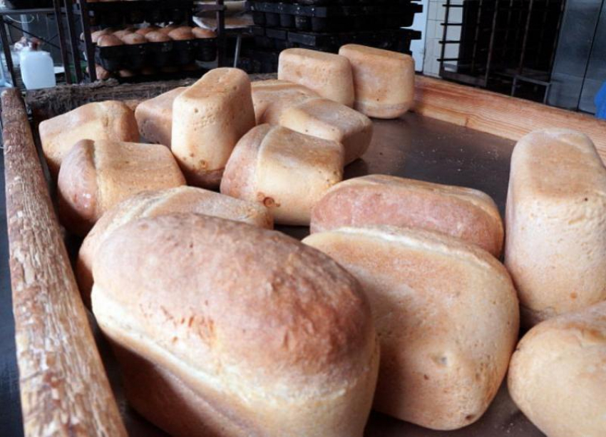 Хлеб всему голова: на что пойдут 68,5 миллионов, выделенные Волгоградской области