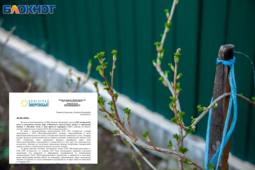 Более 7 миллионов долга: почему СНТ «Строитель» в Волжском остался без воды