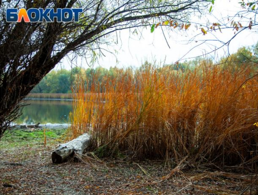 В Волго-Ахтубинской пойме стартовал региональный этап водного конкурса 