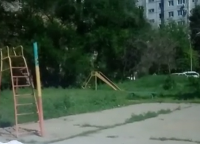 Дворы Волжского превращаются в джунгли и гетто: жители готовят жалобы и претензии