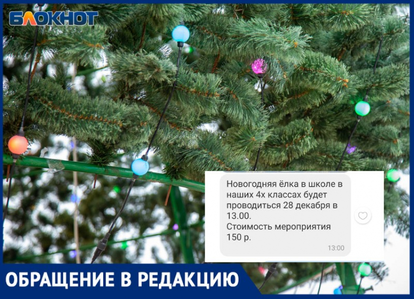 С родителей собирают деньги на платную елку в школе Волжского