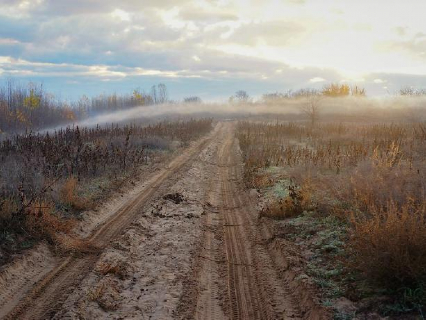 В  день участкового синоптики обещают облачную погоду