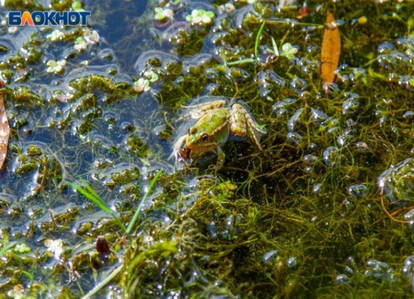 Сильнейшая магнитная буря в 6 баллов обрушится на Волжский: прогноз погоды