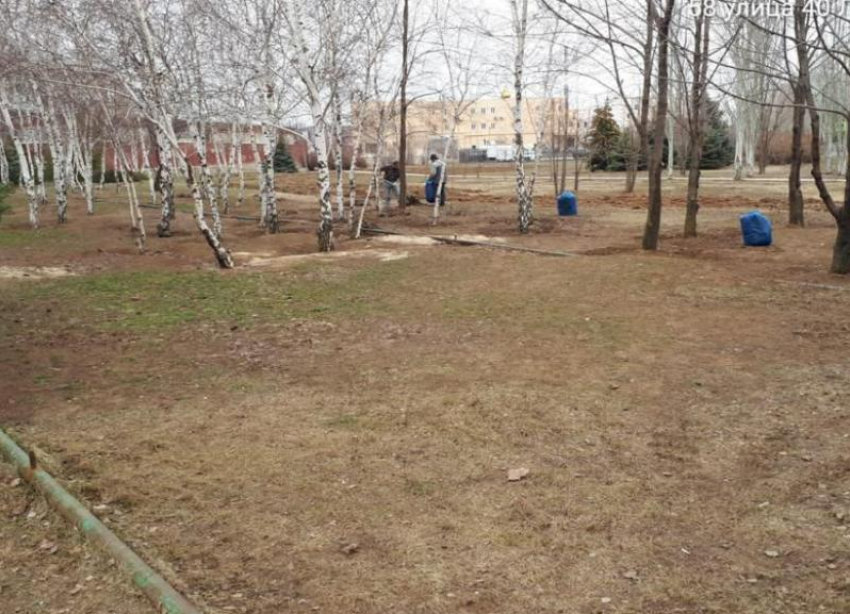 Порядок на улицах в Волжском наводят, но выборочно