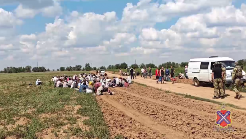Полиция провела масштабный рейд против нелегальных мигрантов в Среднеахтубинском районе