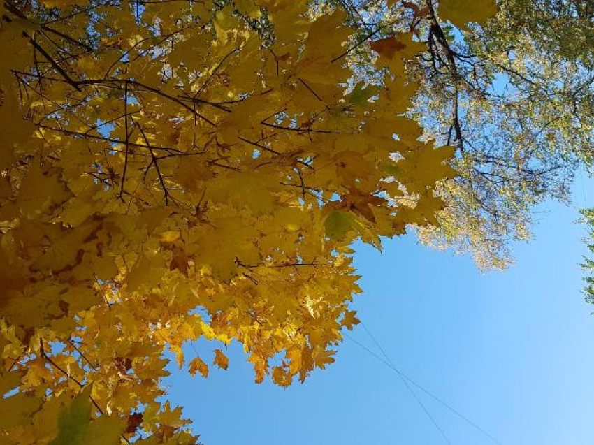 Синоптики обещают солнечное начало недели