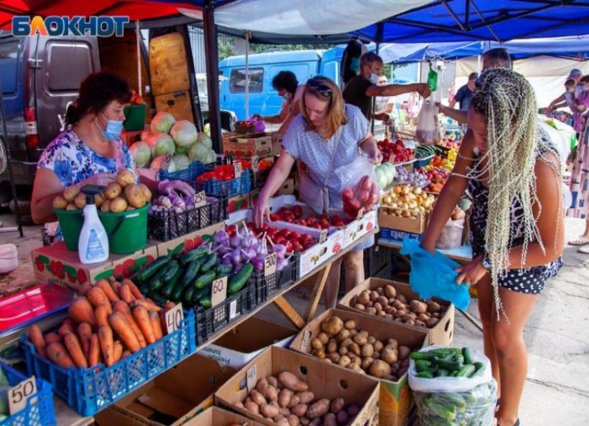 Продуктовая корзина: где выгоднее всего купить морковь в Волжском