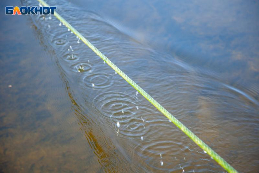 Штормовое предупреждение от МЧС: на Волгоградскую область надвигается шквалистый ветер