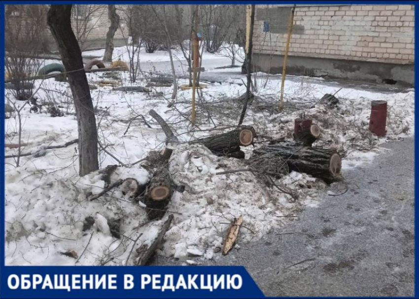 После опила деревьев через скандал у подъезда сломали лавку и бросили ветки в Волжском