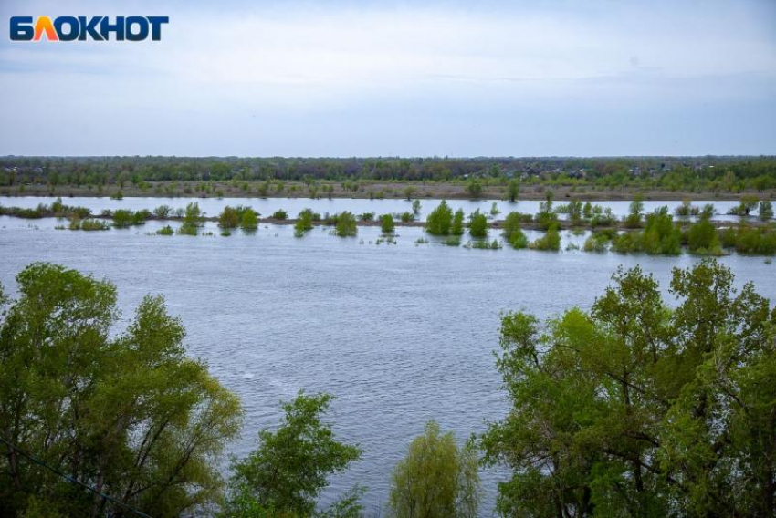 В Волжском будет пасмурно, а вечером пойдет дождь: прогноз погоды на понедельник