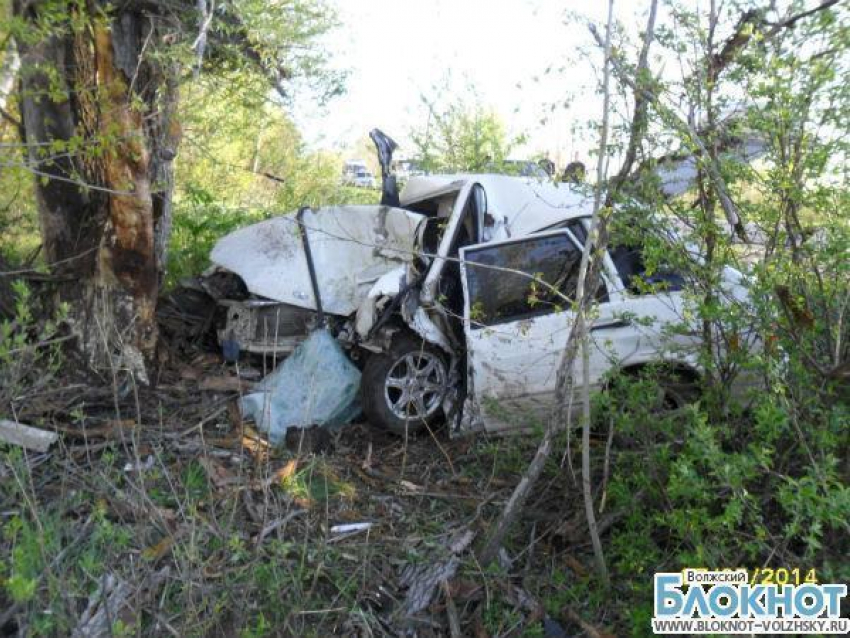 Врезавшись на машине в дерево, волгоградец погиб на месте