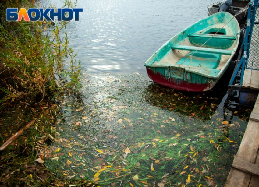 Телец будет весь в работе, а Водолей может влюбиться