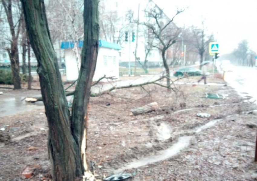 «Минус» забор, ветка на дереве и пострадал мужчина: авария произошла в Волжском