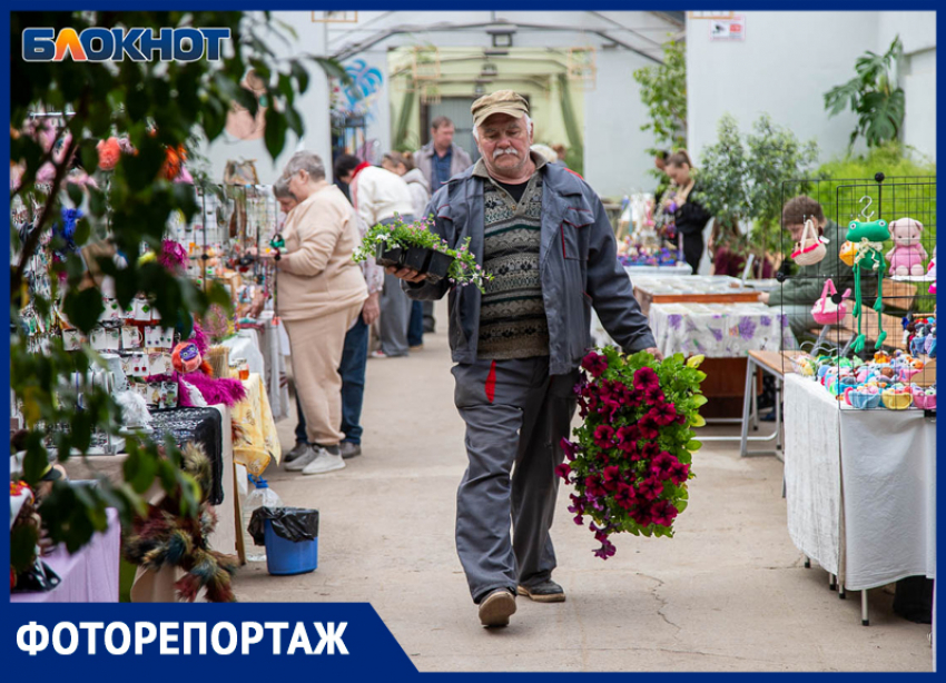 «Дыши летом» среди дождя и тысяч цветов: в Волжском дали старт самому яркому событию весны