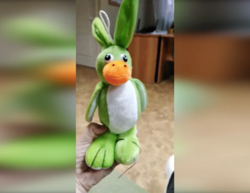 Волжанке подарили игрушку неведома зверушку