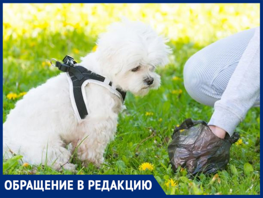 "Владельцы собак совсем обнаглели", - волжанка