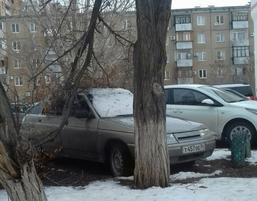 В Волжском появились первые «жертвы» ветра