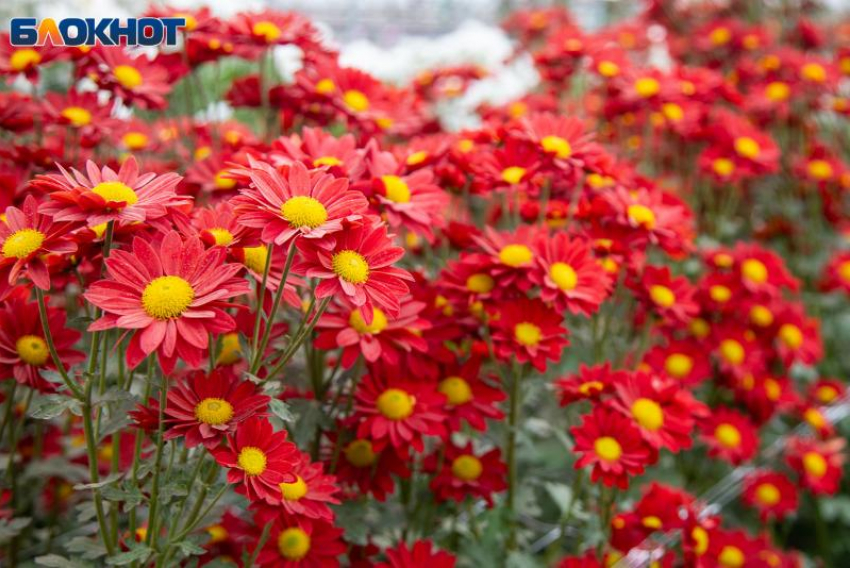 Филимонов день: почему на Руси дату считали временем особой опасности