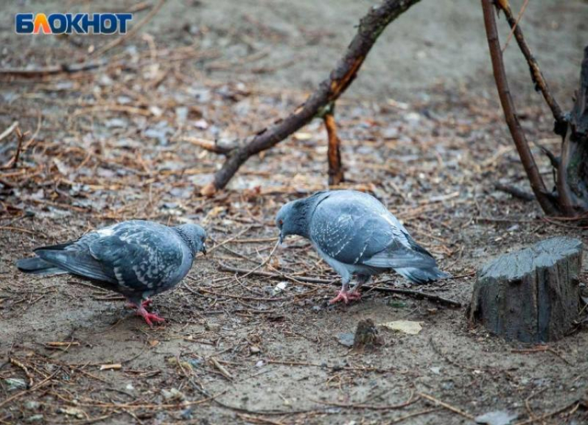 Пора доставать пуховик: прогноз погоды на 29 сентября в Волжском