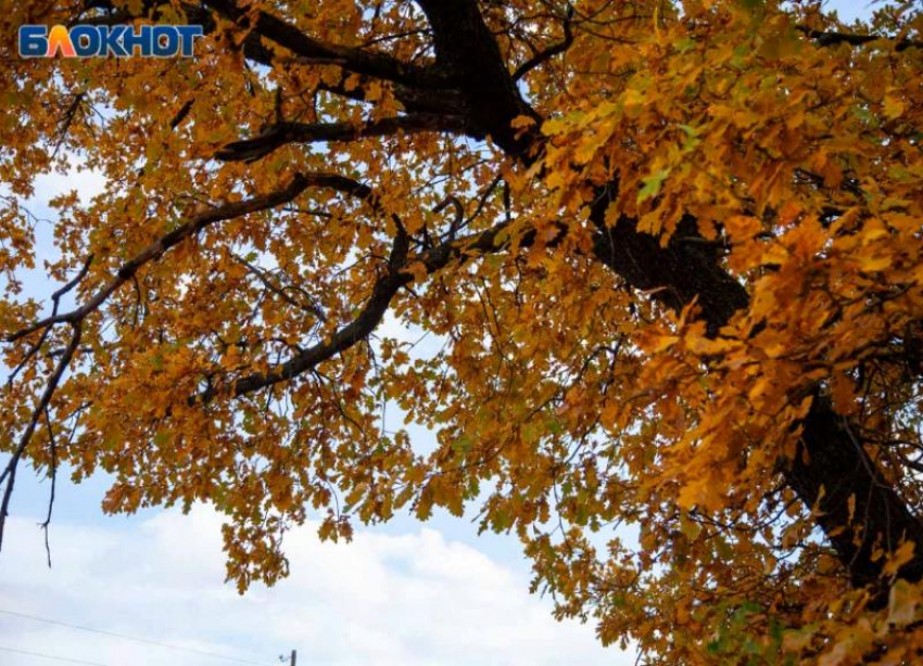 Темное небо и сильный восточный ветер: прогноз погоды в Волжском