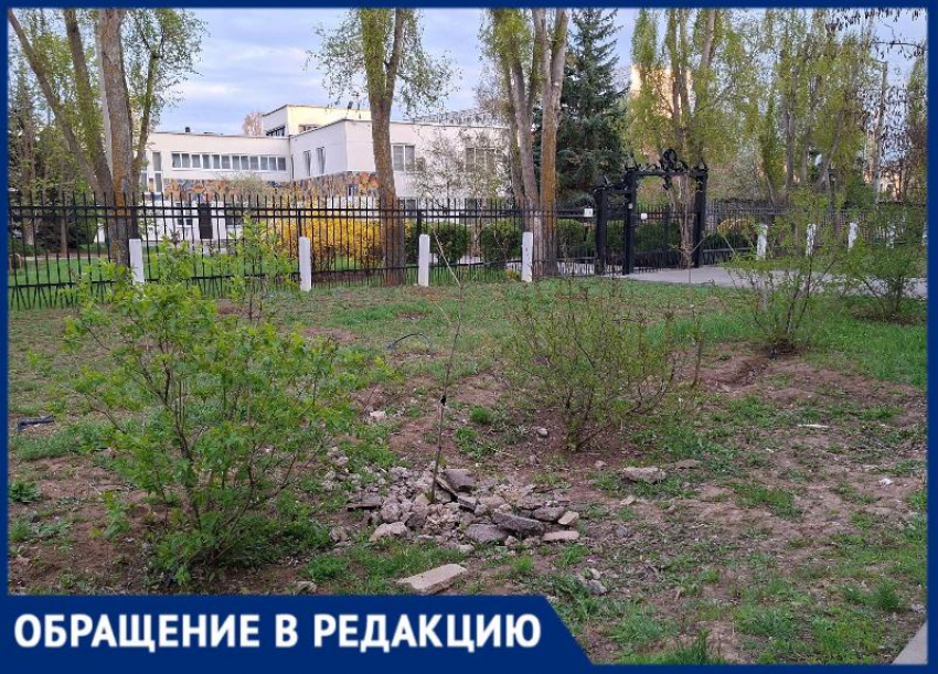 Куда делись сосны и почему не убирают аллею? Волжане задают вопросы по 26 микрорайону