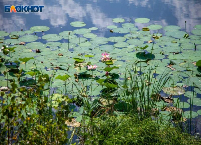 Холод и ветер принесет воскресенье в Волжский: прогноз погоды