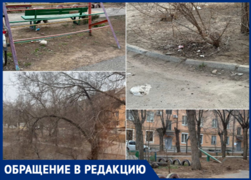 «Лицо города в ужасном состоянии»: волжская УК отказалась убирать двор, сославшись на платные услуги