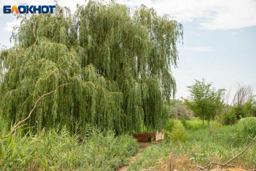 Борис и Глеб - день мира и предвестий. Что можно и нельзя делать