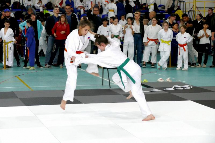 В Волжском стартовало 20 первенство по дзюдо памяти погибшего командира танкового взвода Виталия Щукина