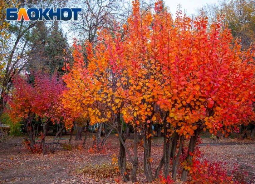 Погожий день ожидает волжан в воскресенье: прогноз погоды