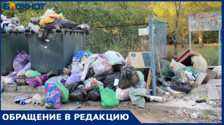 «Это уже не двор, а помойка:» волжане в ярости из за мусорного беспредела