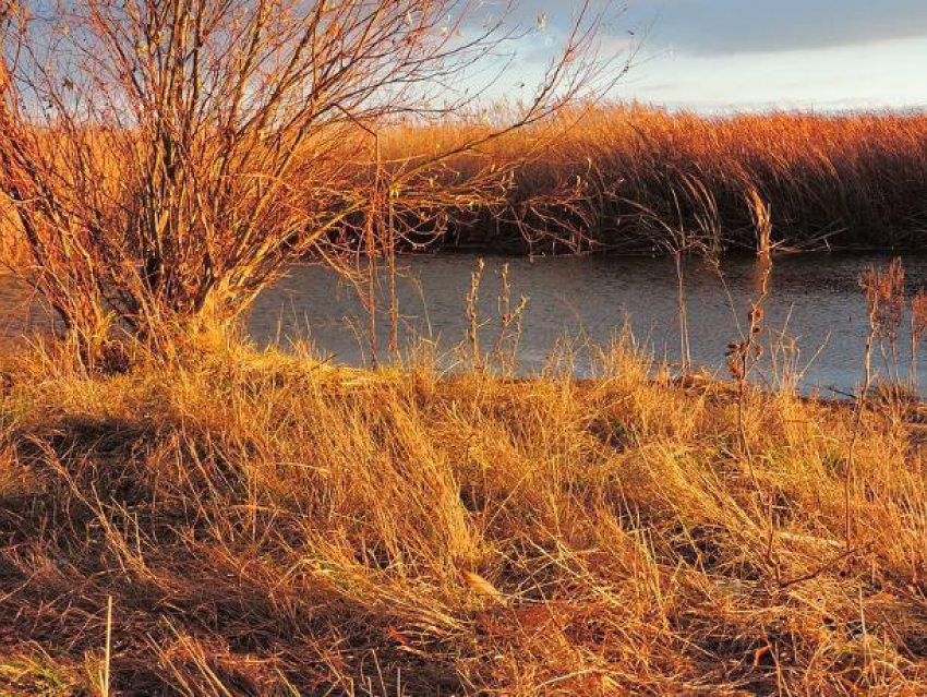 День борьбы с диабетом сохранит тепло