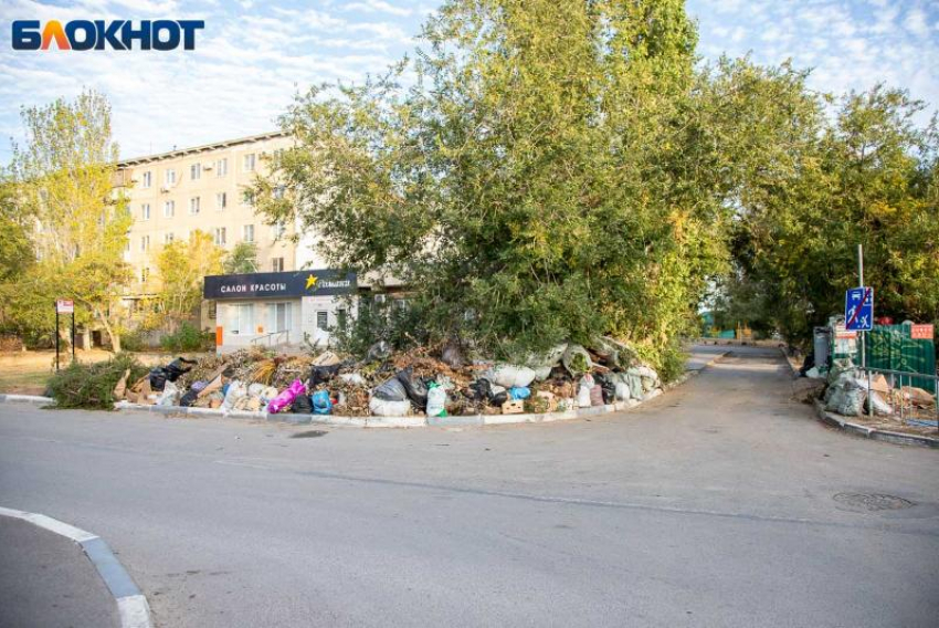 Власти Волжского требуют навести порядок с мусором и уточняют, кто за что в ответе