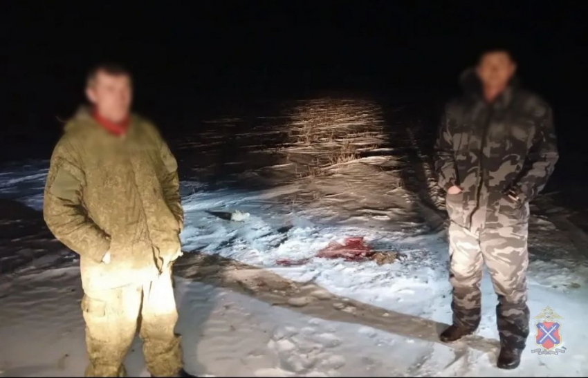 Под Волжским разоблачили двух браконьеров из-за тушки сайгака в машине родственника