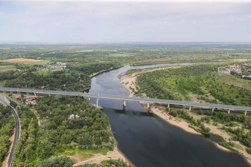 «Дубы не спасти»: началось строительство трассы через Волго-Ахтубинскую пойму 
