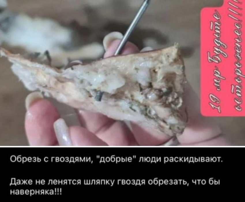 Догхантеры разбрасывают мясо с гвоздями по микрорайонам Волжского