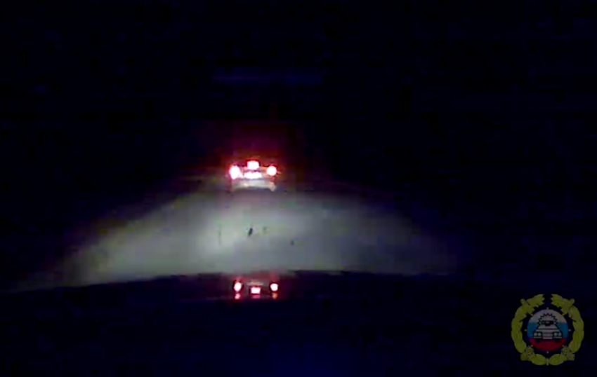 Погоня со стрельбой в Волгоградской области: задержан лишенный прав водитель