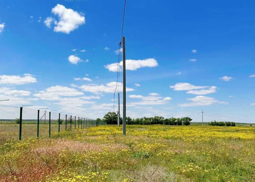 Чиновники отказали в помощи волжскому приюту «Птичий остров»