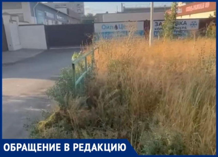 По пояс в траве: волжане не могут добиться покоса возле ТЦ «Идея»