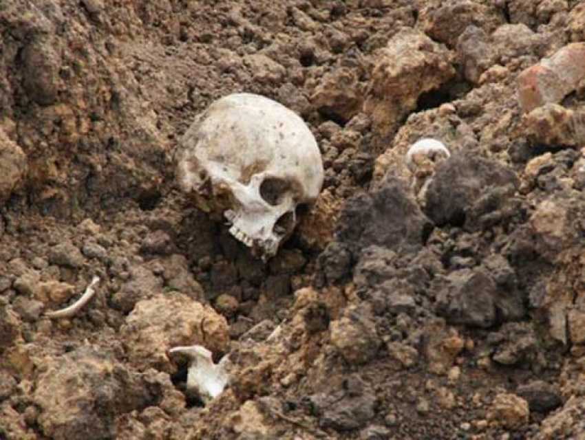 Черепа сгоревшего народа: Волжский расположен на пепелище поселения