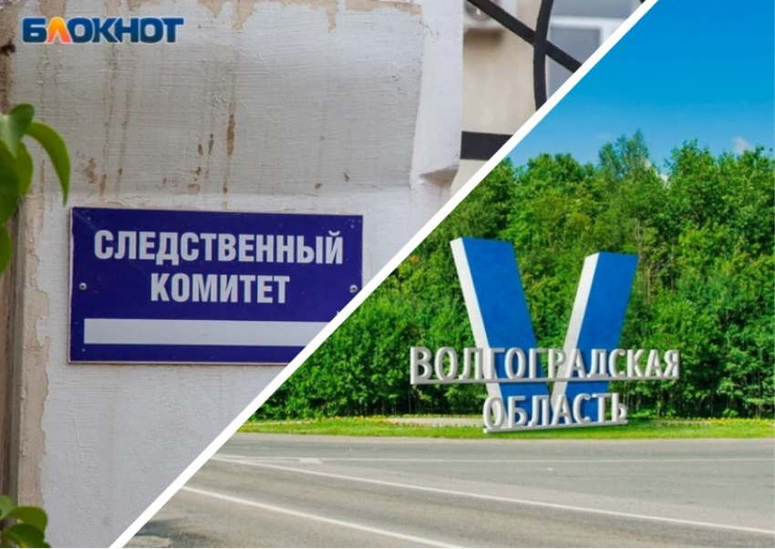 Растрату миллионов на логотип Волгоградской области рассмотрит СКР