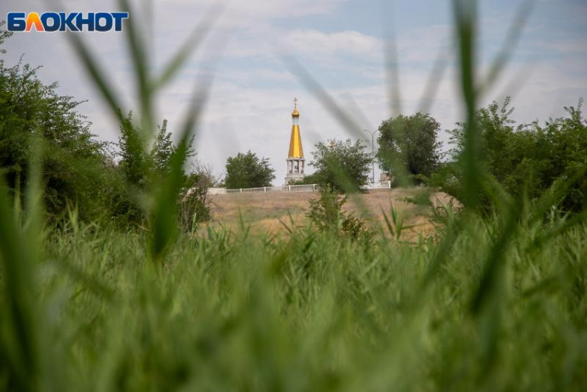 Жителей Волжского приглашают на бесплатные экскурсии