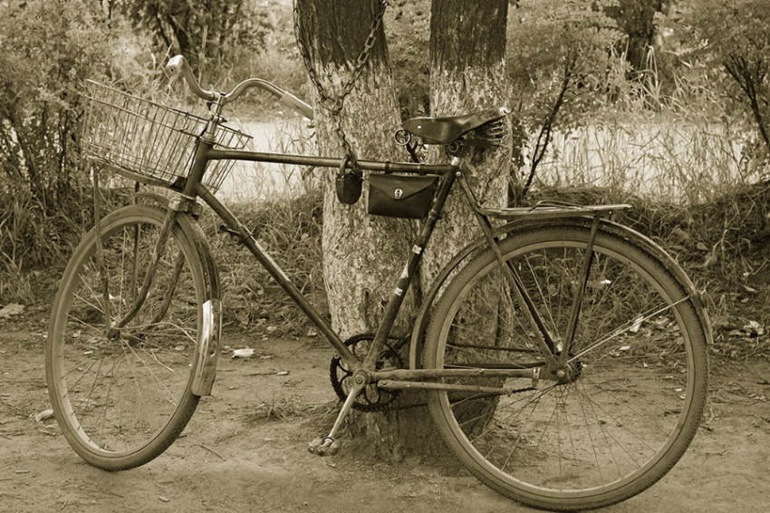 В Волжском из дачного домика украли старый велосипед