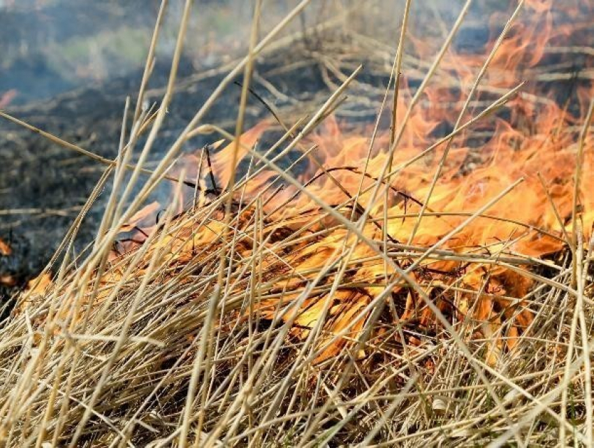 В Среднеахтубинском районе сгорело 120 тонн сена