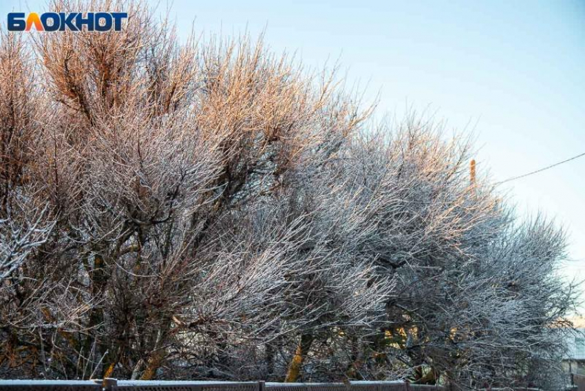 Снежные выходные прогнозируют в Волжском
