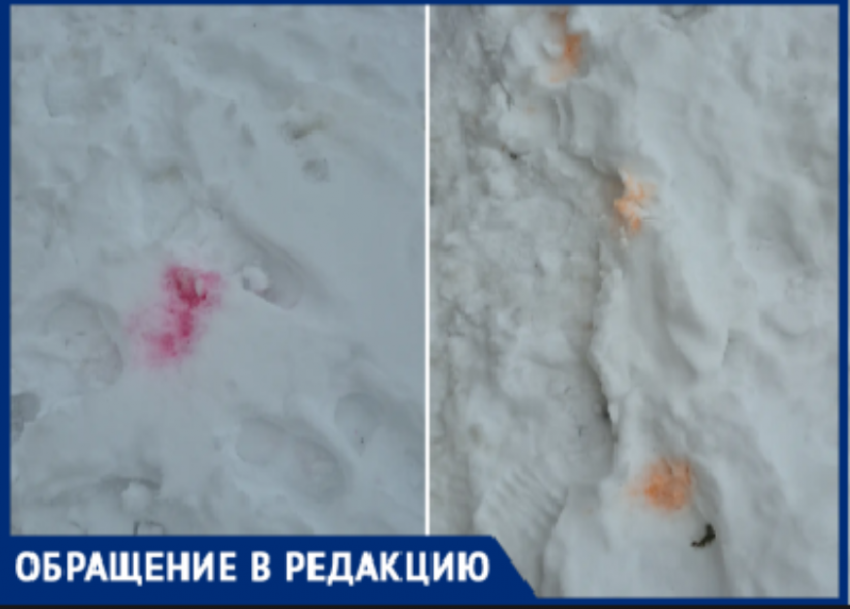 В Волжском замечены следы отравы для собак